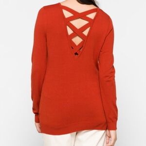 Elegant V-Neck Sweater in Warm Rust **NWOT**